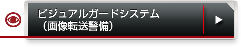 ビジュアルガードシステム（画像転送警備）